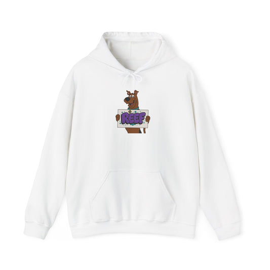 Reef surfwear scooobi doo hoodie